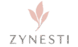 minimalist zynesti logo design min removebg preview